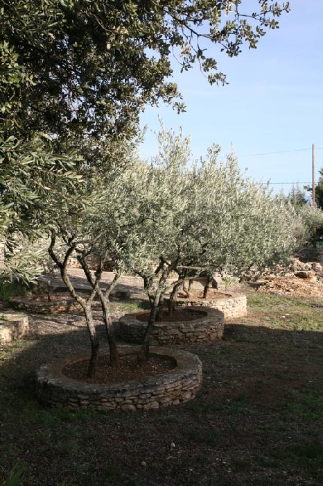 Maison en bordure de village du Luberon, de plain pied sur 2363 m²